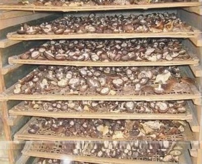 香菇烘干機，熱泵熱水器，節(jié)能熱水器，